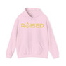  Raised Mason Hooded Sweatshirts 