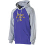  Omega Psi Phi Banner Hoodie 