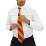  Delta Chi Striped Necktie 