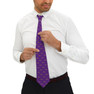  Alpha Kappa Lambda All Over Greek Letter Necktie 