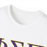 Phi Sigma Pi Founders Day T-shirt 