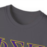 Phi Sigma Pi Founders Day T-shirt 