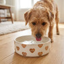 Sigma Sigma Sigma Pet Bowl
