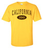  Iota Phi Theta State T-shirts 