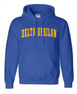  Fraternity & Sorority Printed Letterman Hoodie 