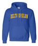 Fraternity & Sorority Printed Letterman Hoodie