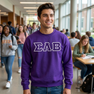 DISCOUNT Sigma Lambda Beta Lettered Crewneck - Best Value