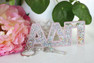 Sorority Shop Alpha Delta Pi Glitter Keychain 