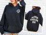  Alpha Epsilon Phi Social Hoodie 