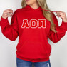  Alpha Omicron Pi  Sweatshirts Hoodie 