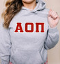 Alpha Omicron Pi  Sweatshirts Hoodie