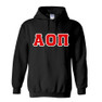 DISCOUNT Alpha Omicron Pi Lettered Hoodie