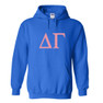 Delta Gamma World Famous $30 Greek Hoodie