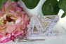 Sorority Shop Delta Zeta Glitter Keychain 