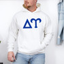 Delta Upsilon letter Hoodie 