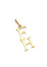 FarmHouse Fraternity 14K Solid Gold Lavaliere