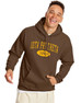 Iota Phi Theta Arch Hoodie 