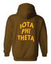  Iota Phi Theta Social Hooded Sweatshirt 