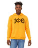  Iota Phi Theta Greek Lettered Arch Hooded Sweatshirt 