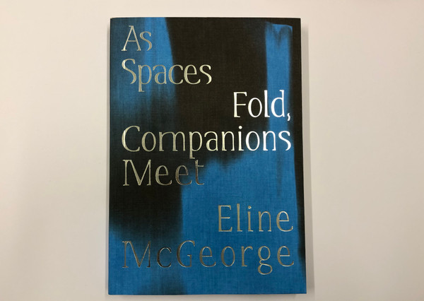 As spaces folds, companions meet, Eline McGeorge