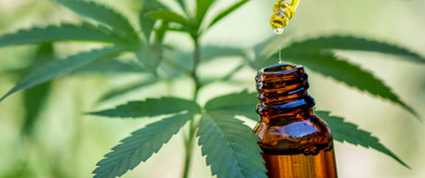 What’s the Difference Between Medical Marijuana vs CBD Oil?