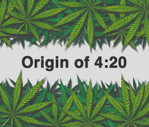 Where did the term 4/20 come from?