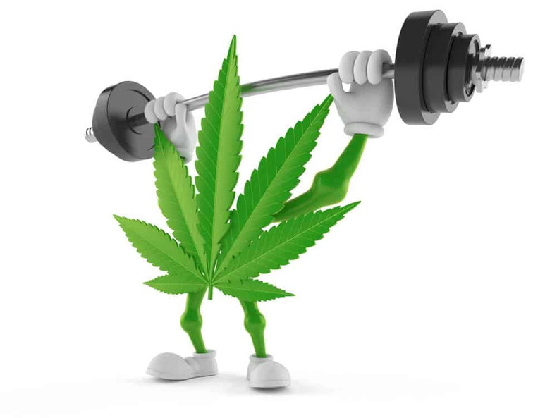 Cannabis and Physical Exercise: Exploring the Potential Benefits