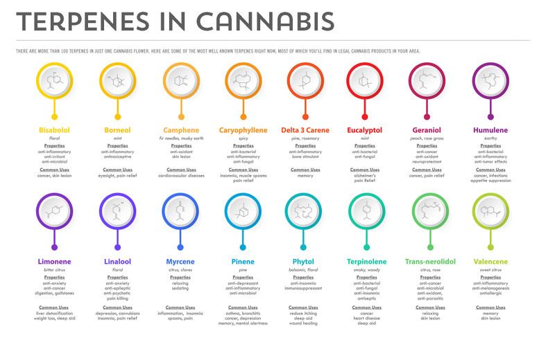 Terpenes and their Effect on Vape Cartridges