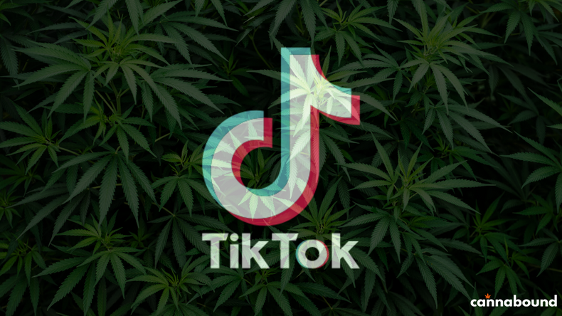 Tik-Tok and Cannabis, How Do You Utilize the Algorithm?