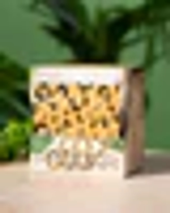 FRAMAR POP UP FOIL PARTY ANIMAL