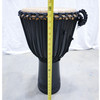 OPEN BOX SALE: Stallion Pro African Djembe, Medium