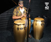 Tycoon Percussion 40th Anniversary Celebration Series Congas