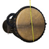 Natural goatskin head of the X8 Black Stallion Pro djembe shown with measuring tape