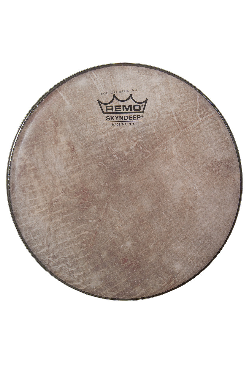 REMO パンデイロ　SKYNDEEPヘッド Amazon | スキンディープ(UL-0110BT-013) Pandeiro交換用ヘッド