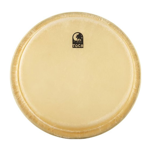 Bongo drum heads store