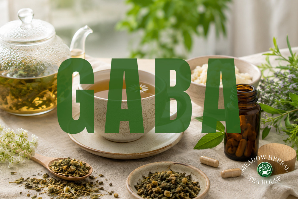 Health Benefits of GABA: A Gentle Look at This Calming Compound