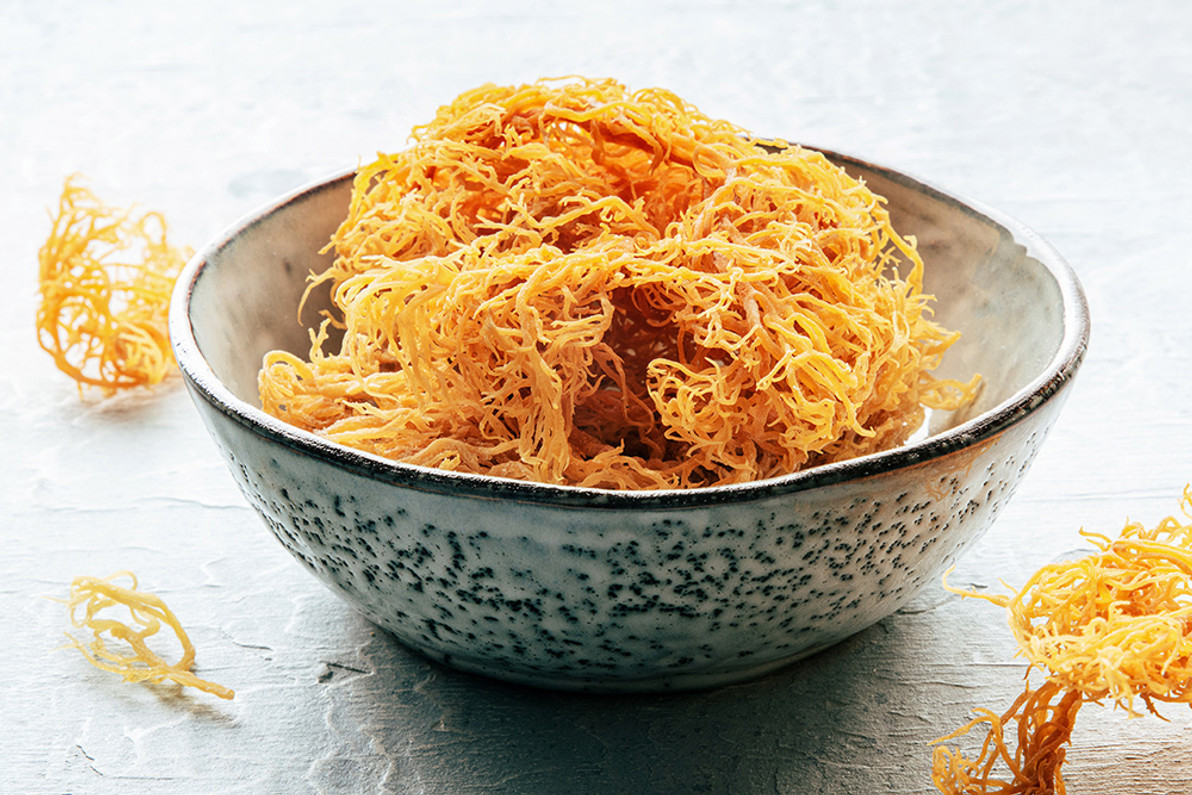 Reasons to Include Sea Moss in Your Diet