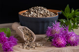 Milk Thistle: A Timeless Herb With a Modern Role in Everyday Wellness