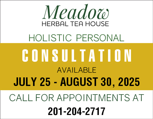 Consultation at Meadow Herbal Tea House