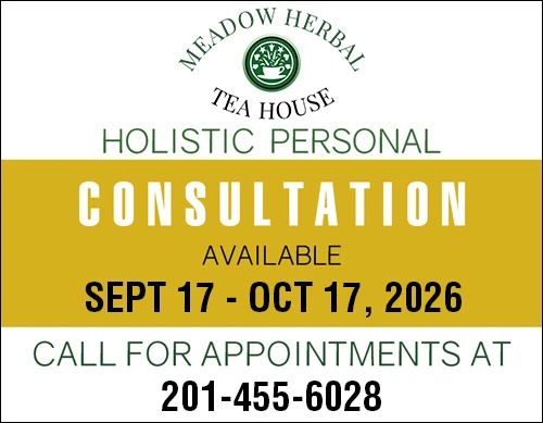 Consultation at Meadow Herbal Tea House