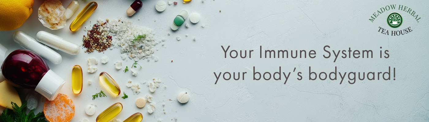 Immune Health banner at Meadow Herbal Tea House