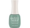 Entity Color Couture Soak Off Gel MINTED IN LUXURY - 15 mL / .5 fl oz