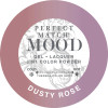 LeChat Perfect Match 3in1 Mood Powder Dusty Rose - 42 Grams