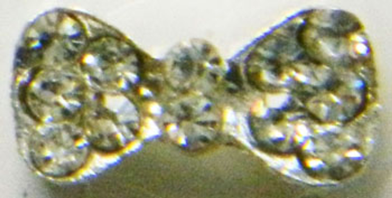 3D Rhinestones Crystal Nail Metal Charms A016