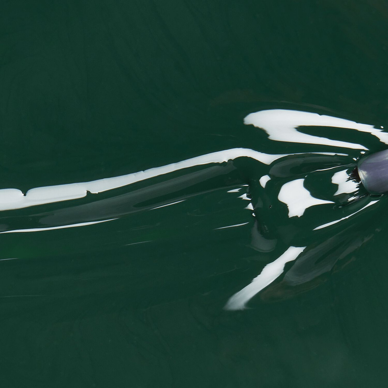 China Glaze Nail Lacquer Midnight Pine - 0.5 oz