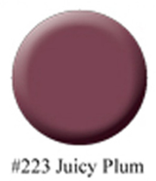 BASIC ONE - Gelacquer Juicy Plum - 1/4oz