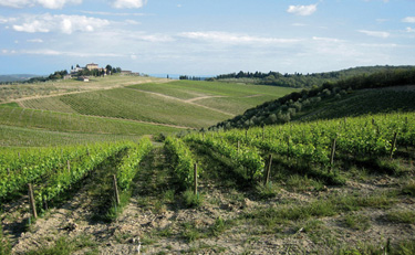 The Beautiful Region of Tuscany