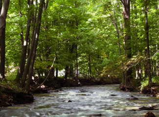 Manitowoc Ice Machines Give Restaurant Owners a Peace of Mind