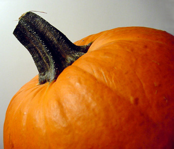  This is a pumpkin