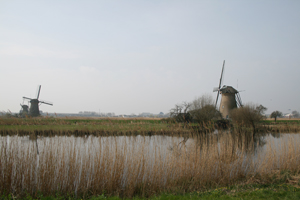 Picture of windmills